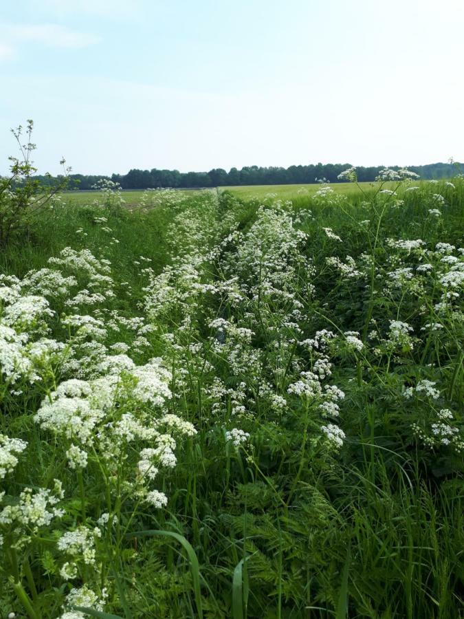 Gezond Boeren Verstand Dalerveen Exterior foto